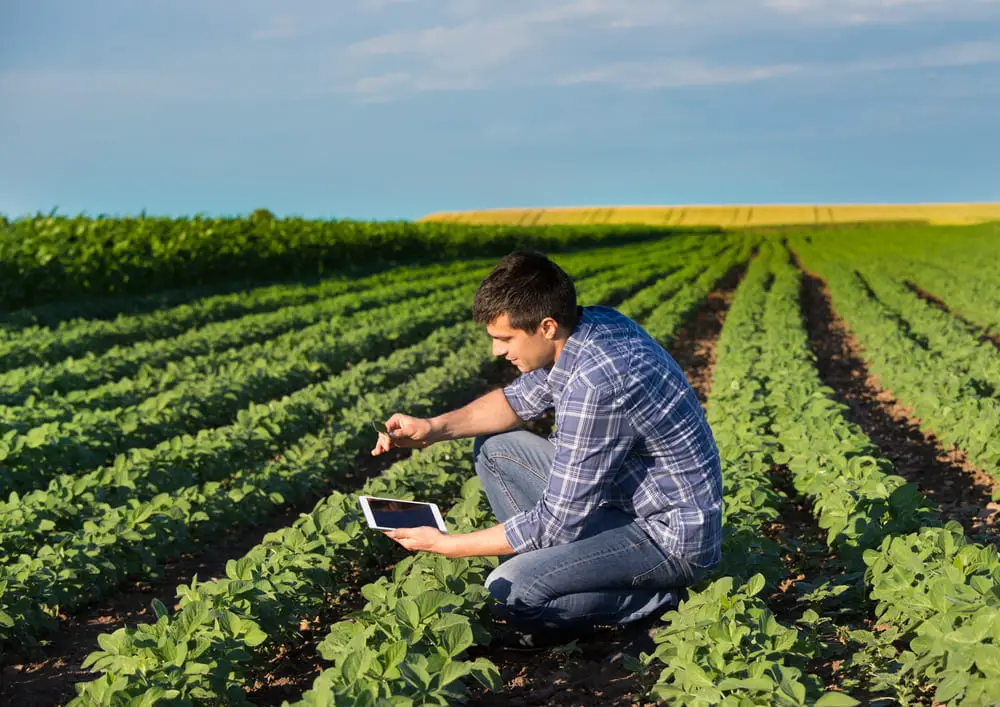 Lettre de motivation ingénieur agronome