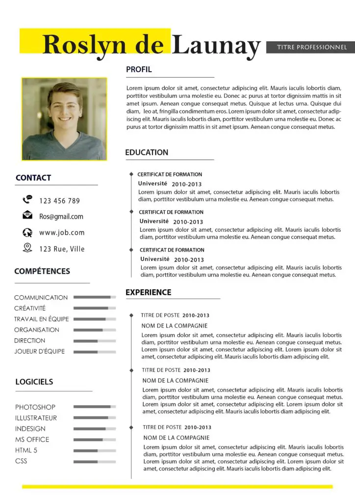 Exemple De CV Simple Créatif