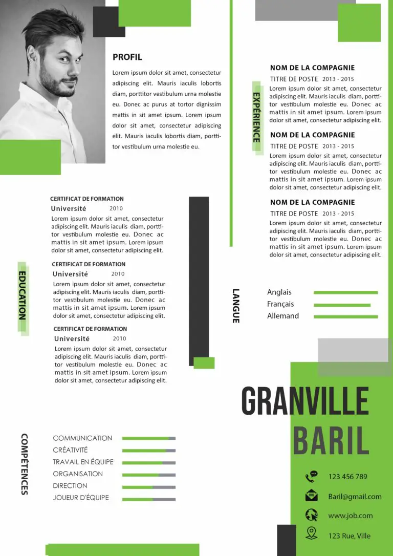 Modèle de CV: 100 Exemples de CV Gratuits Word