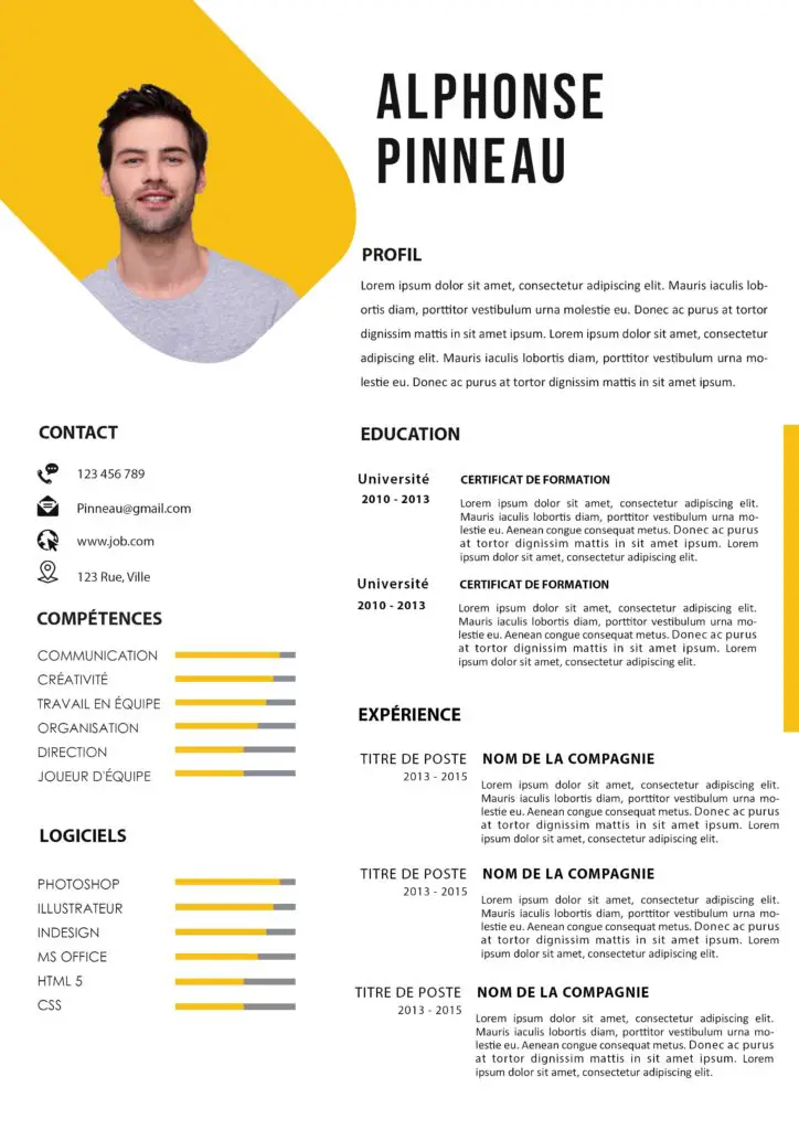 Exemple De CV Moderne En Ligne