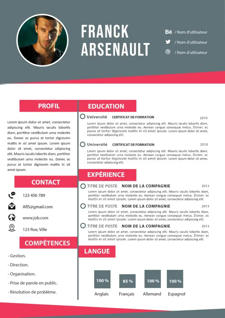 Exemple CV Moderne Et Dynamique